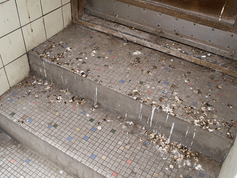 Eine zementierte, schmutzige Treppe